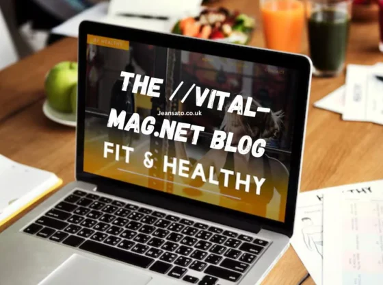 Unlocking Holistic Wellness with Vital Mag.net