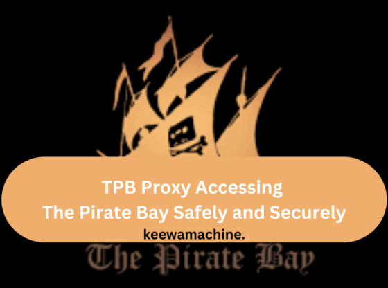 TPB Proxy Accessing The Pirate Bay Safely and Securely