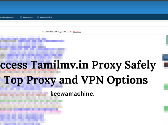 Access Tamilmv.in Proxy Safely Top Proxy and VPN Options