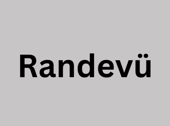Randevü Understanding the Turkish Concept of Appointment