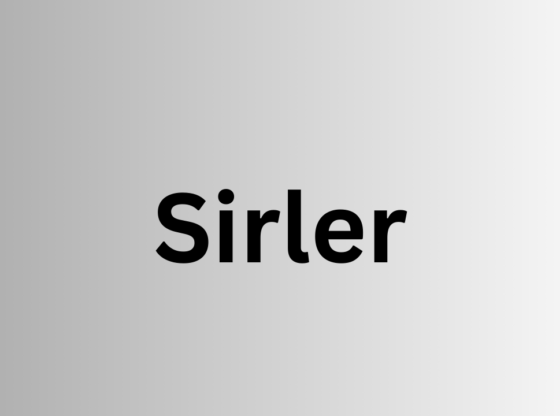 Exploring Sirler Insights and Offerings