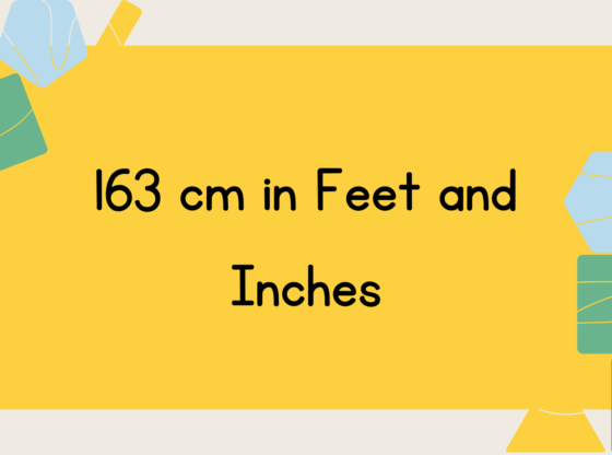 163 cm in Feet and Inches: Conversion Made Simple