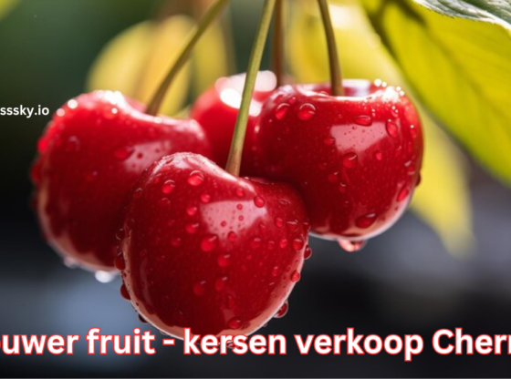 brouwer fruit - kersen verkoop