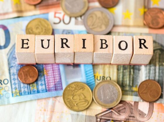 https://finanzasdomesticas.com/euribor-sube/: Overview | BUSINESS