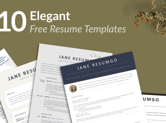 Resume Templates for Google Docs